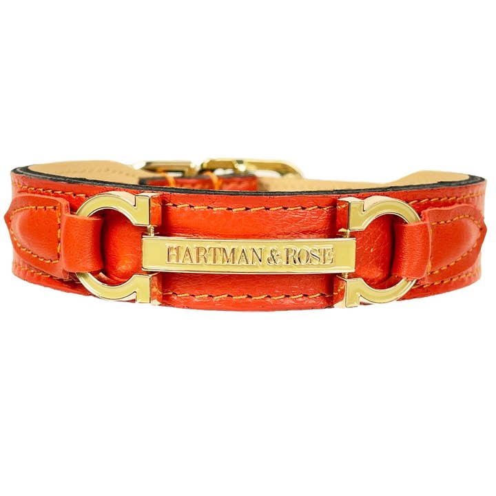 Collier pour chien Signature en mandarine et doré pour la vente par Hartman & Rose
