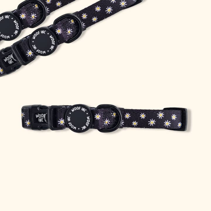Black Daisy verstellbares Hundehalsband für den Großhandel von WOOF INC