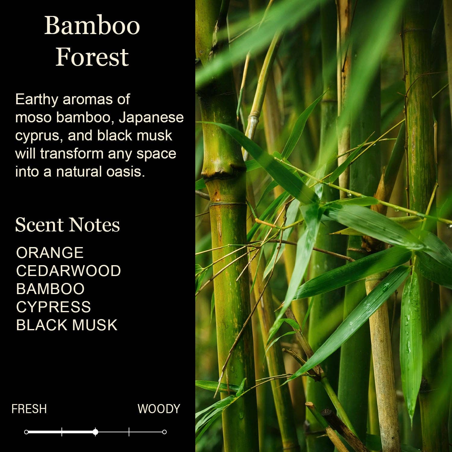 Cedar Crate Market - Wholesale Jar/Filled Candle - Happy New Home Hope Your Neighbors Aren't Weirdos White Jar Candles1