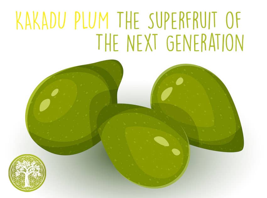 Ancient Purity - Wholesale Protein/Superfood Powder - Kakadu Plum | Highest Vitamin C Food on Earth | Superfood7