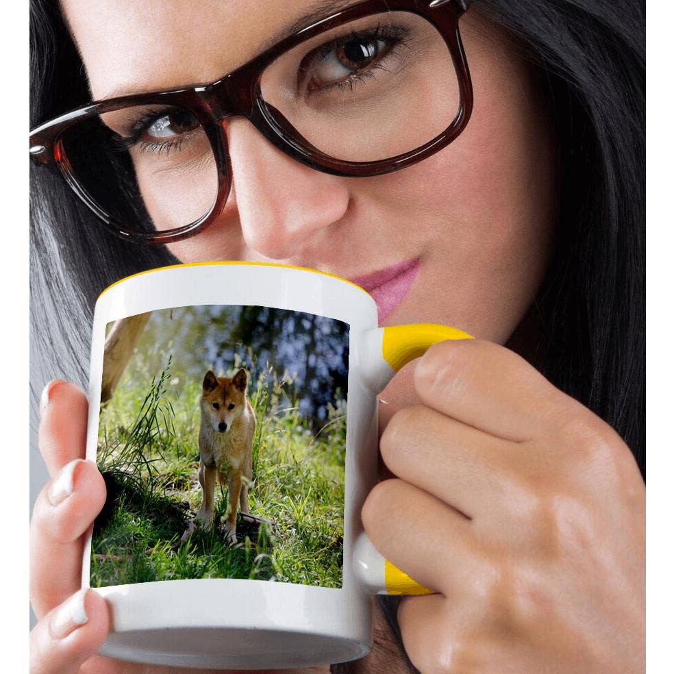 3dRose - Wholesale Coffee Mug - 3dRose, Australia, Adelaide. Cleland Wildlife Park. Australian Dingo, Mug1