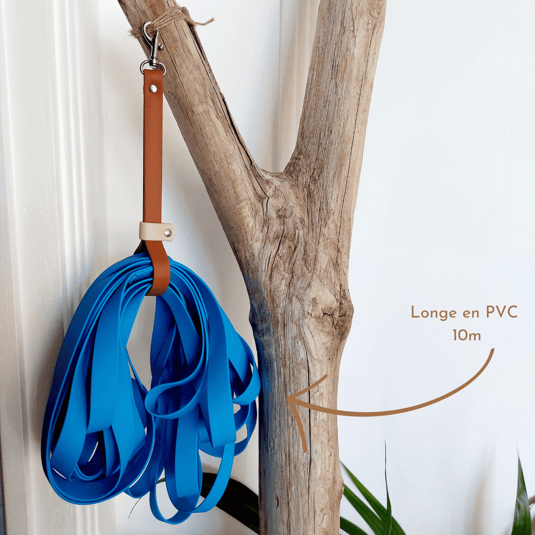 Truffe & Flair - Vente Accessoire de toilettage – hors chat et chien - Range longe chien - Biothane - 32 coloris au choix 7