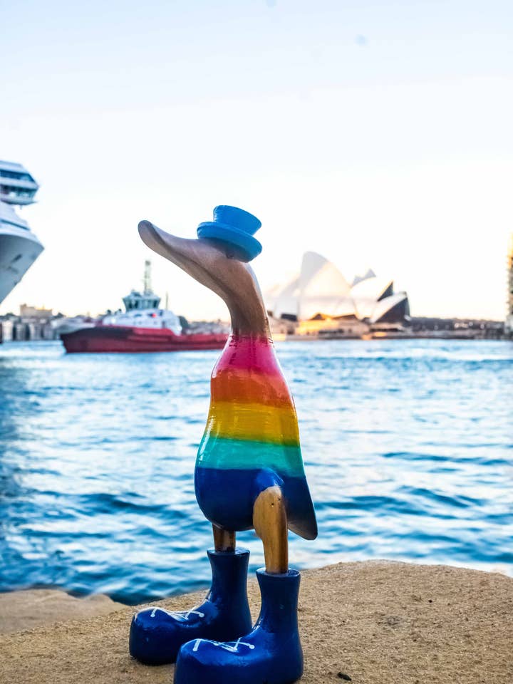 canard courant Arc-en-ciel for wholesale by woodbubblebali