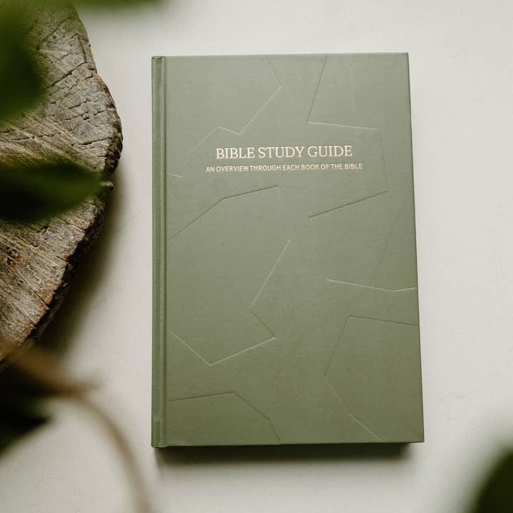 Chasing Sacred - Wholesale Book - Adult - Bible Study Guide