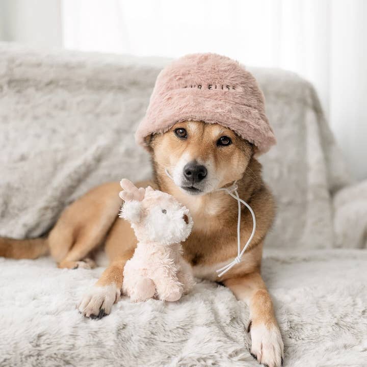 Fur Elise Pets - Wholesale Pet Hat - Dog - Furi Pet Hat - Sand3