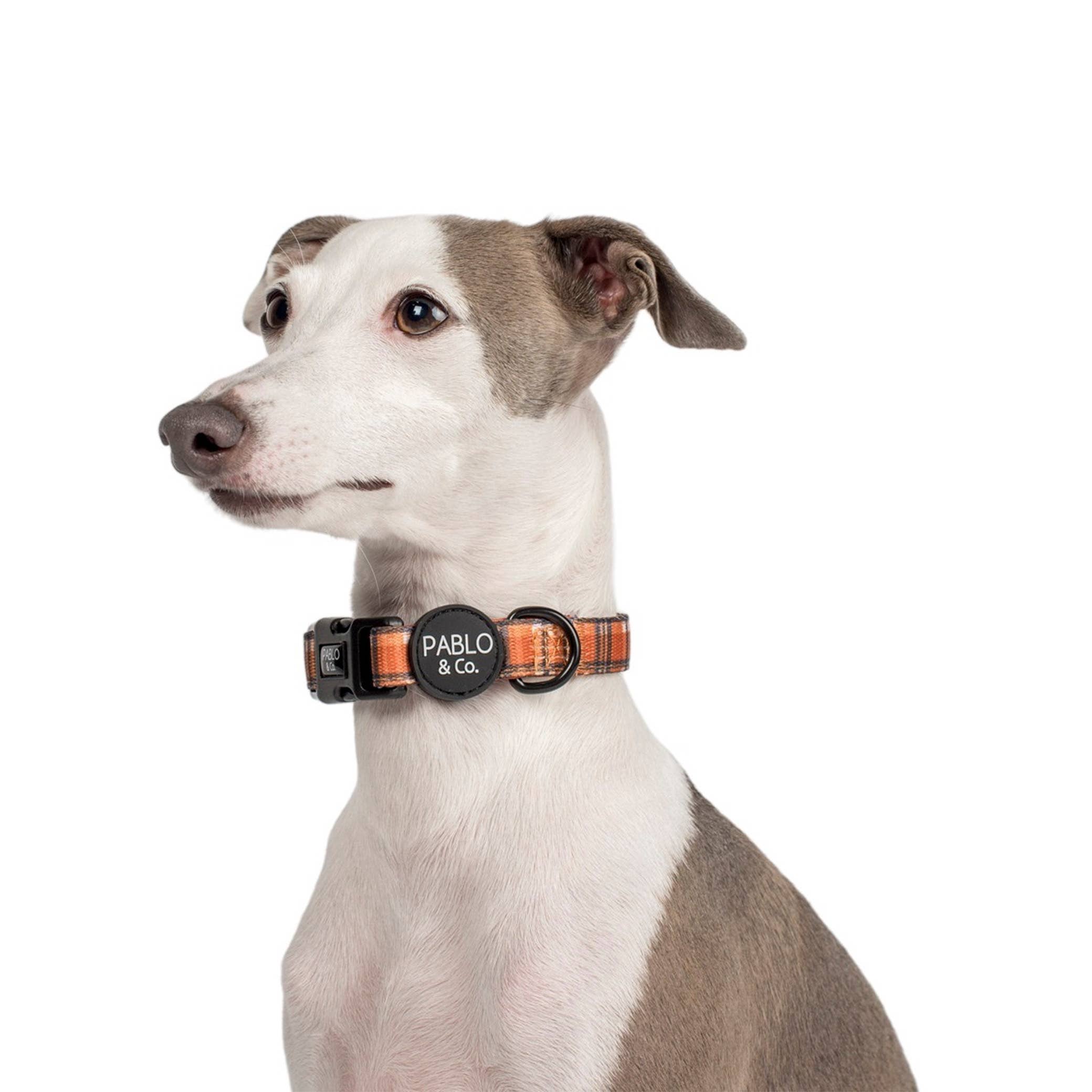 Pablo & Co. Boutique - Wholesale Pet Collar - Dog - Vintage Plaid: Dog Collar1