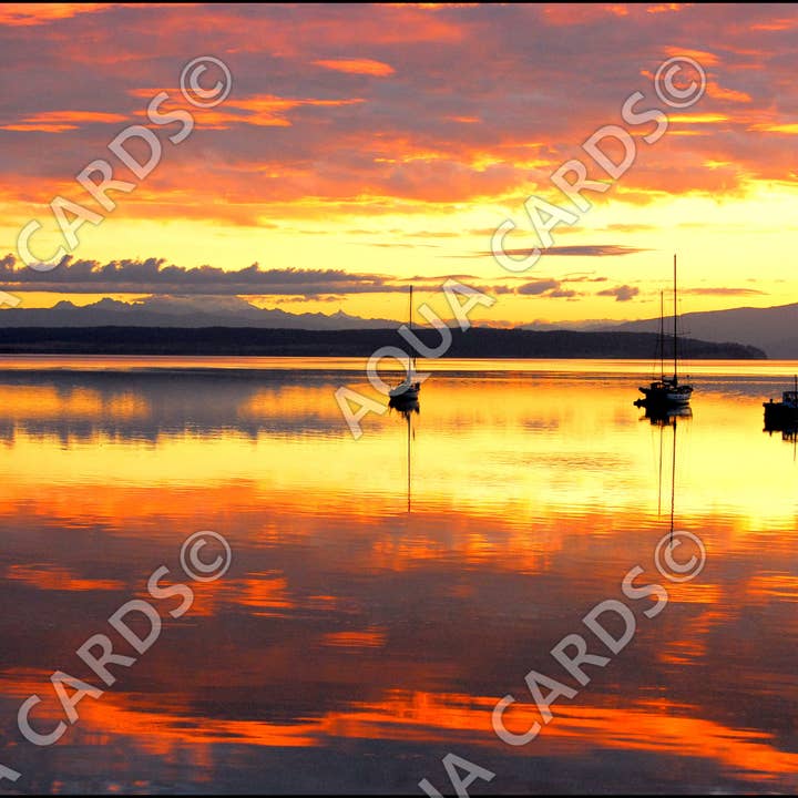 1065 - Mystic Penn Cove for wholesale by Aqua Cards