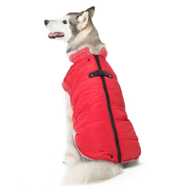 Dogo Pet - Wholesale Pet Coat - Dog - Runner Coat Original8