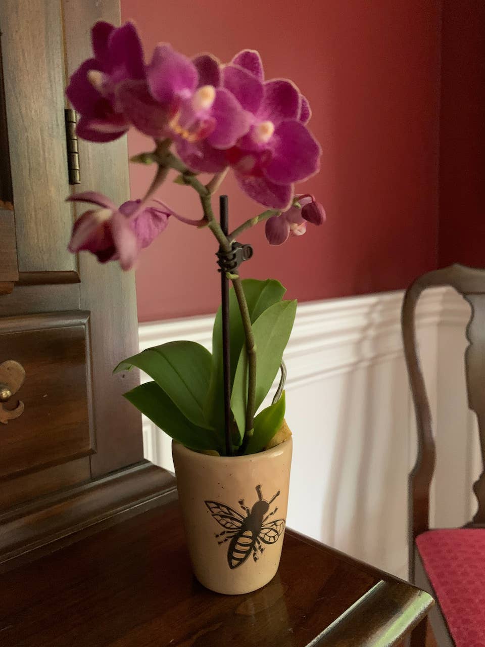 Women of the Cloud Forest - Wholesale Vase - Orchid Vase - Honeybee2