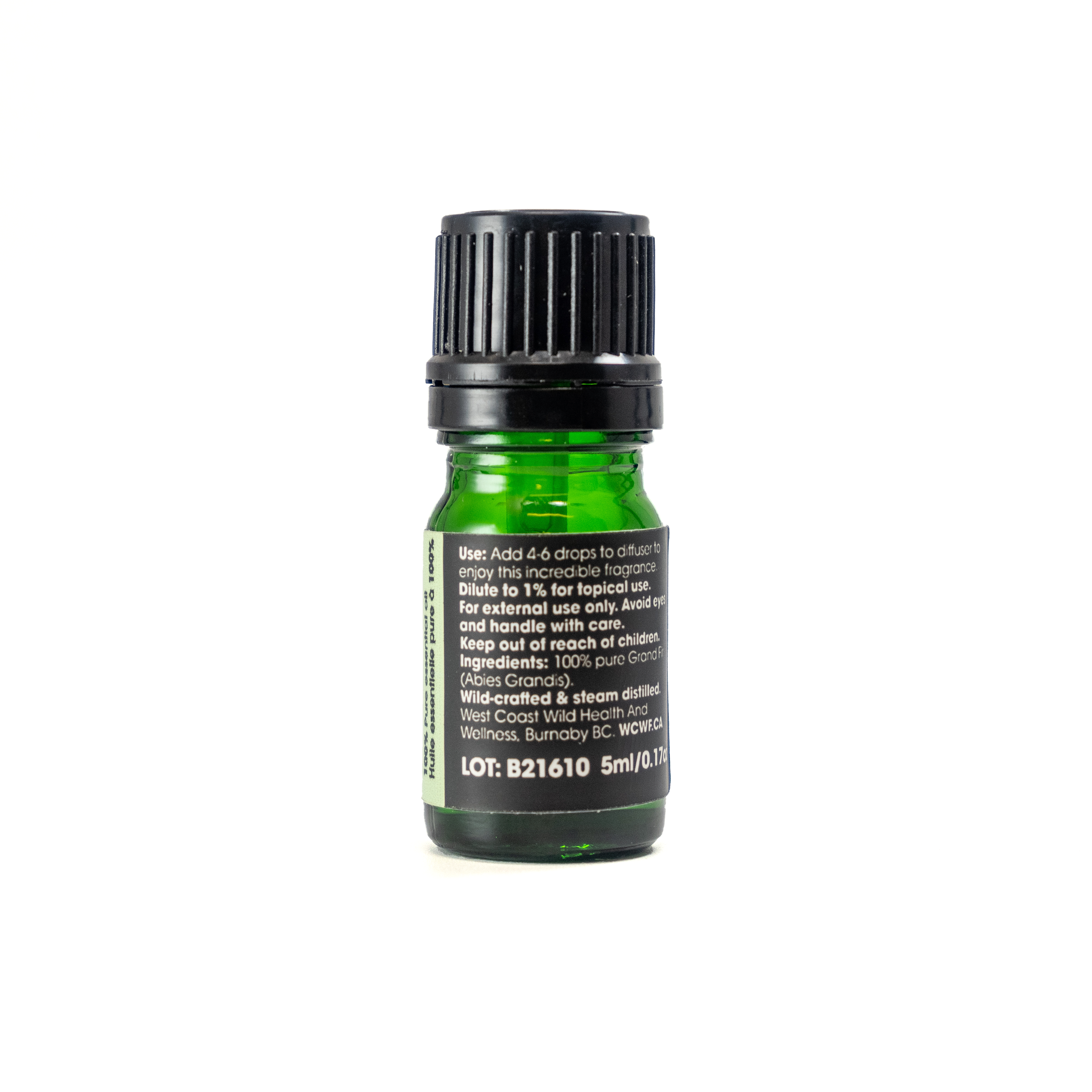 Coast Mountain Essential Oils - Wholesale Essential Oil - Grand Fir Essential Oil - 5ml1