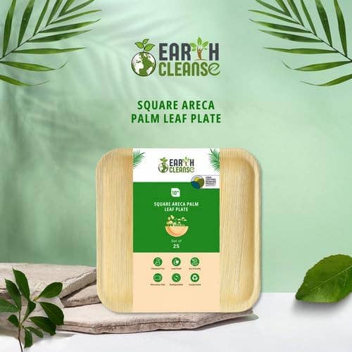 Earth Cleanse - Wholesale Disposable Plate - Areca Palm Leaf Square Plates 10-Inch, Pack of 2001