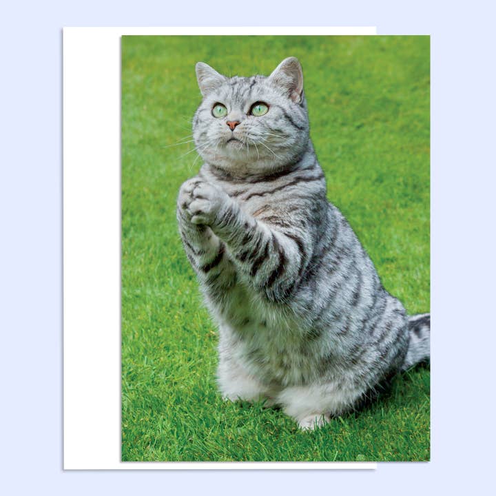 Praying Happy Birthday Greeting Card for wholesale by Northern Exposure