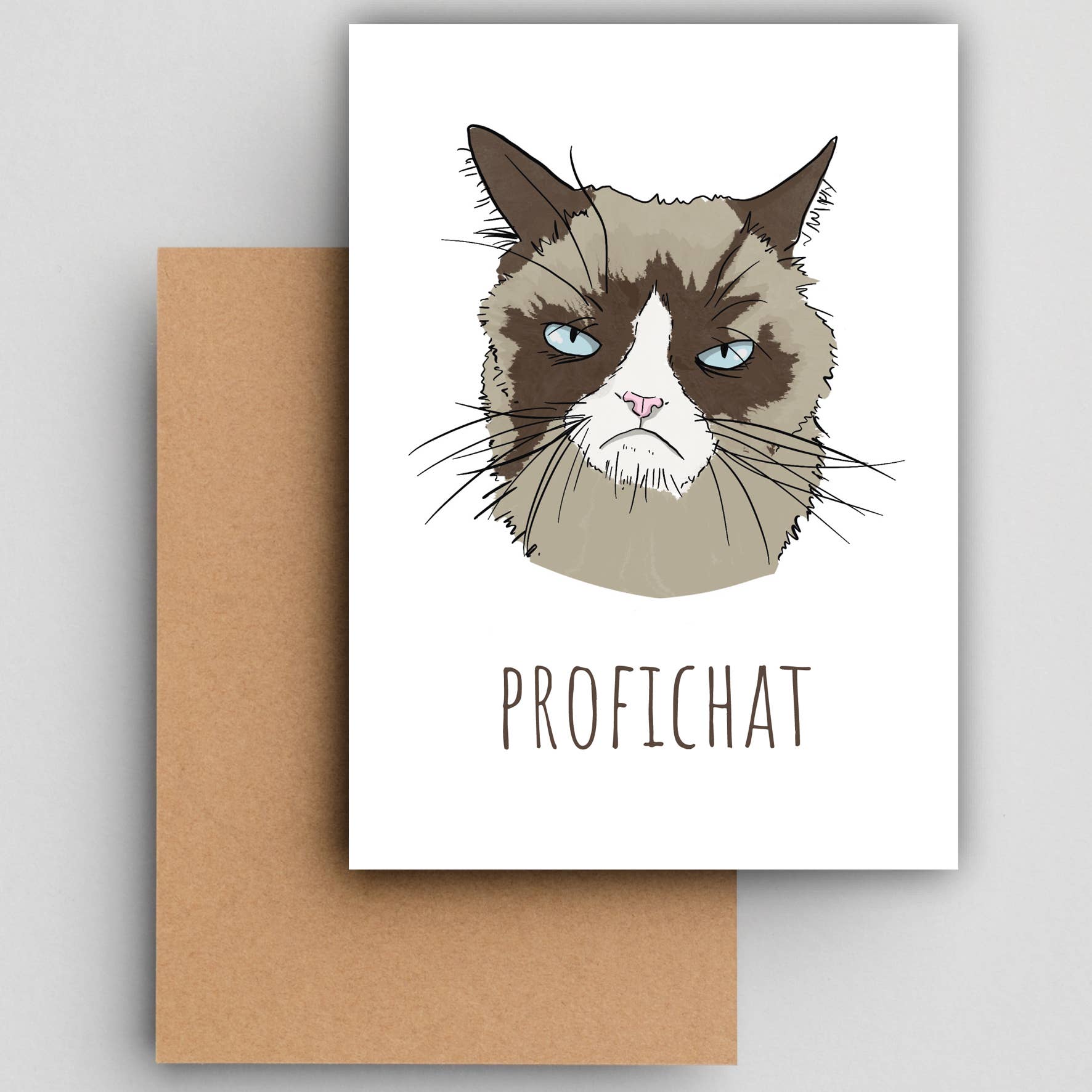 Studio Raquelle - Wholesale Everyday Greeting Card - Profi Chat!1