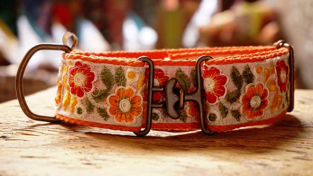 hundsfutter - Wholesale Pet Collar - Dog - Individual orange necklace with floral design.13