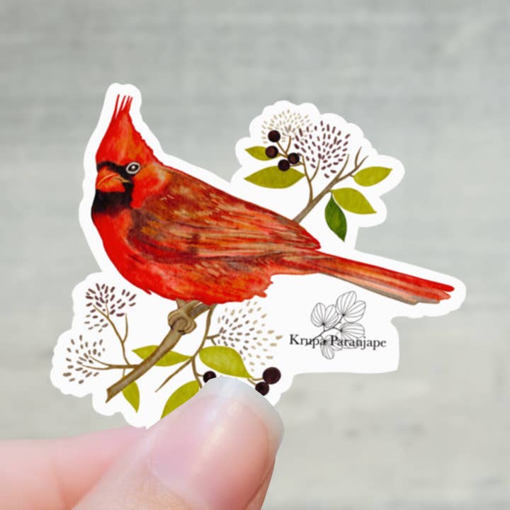 Cardinal bird vinyl die cut sticker for wholesale by Krupa Paranjape