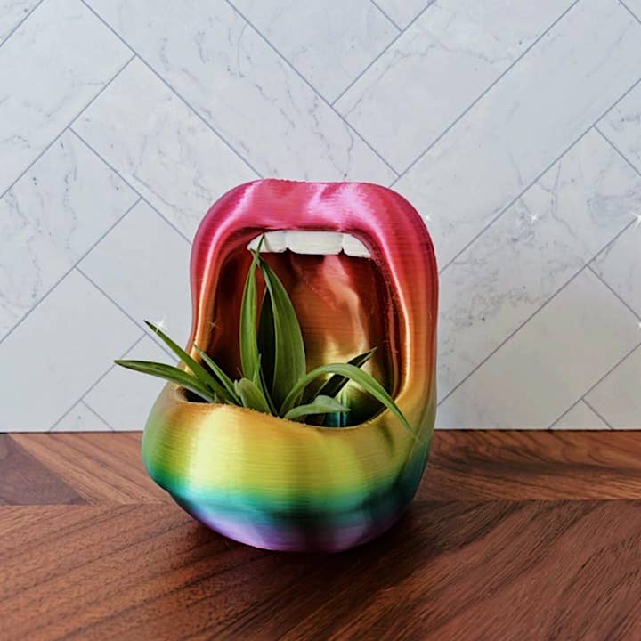 Peachy Pilea - Wholesale Plant Pot - Retro Lips Planter | More Sizes + Colors Available