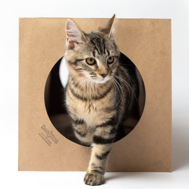 Hide and Sneak Tunnel - Paper Play Tunnel for Cats for wholesale by Dezi & Roo
