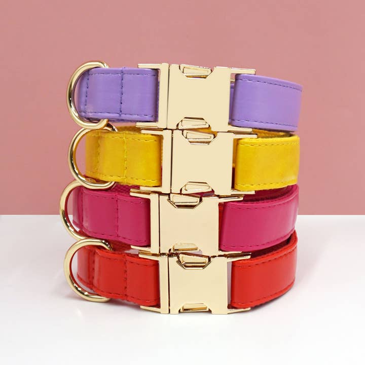 Toby Supply - Wholesale Pet Collar - Dog - Premium Leather Dog Collar – Classic Style_CWMM7075
