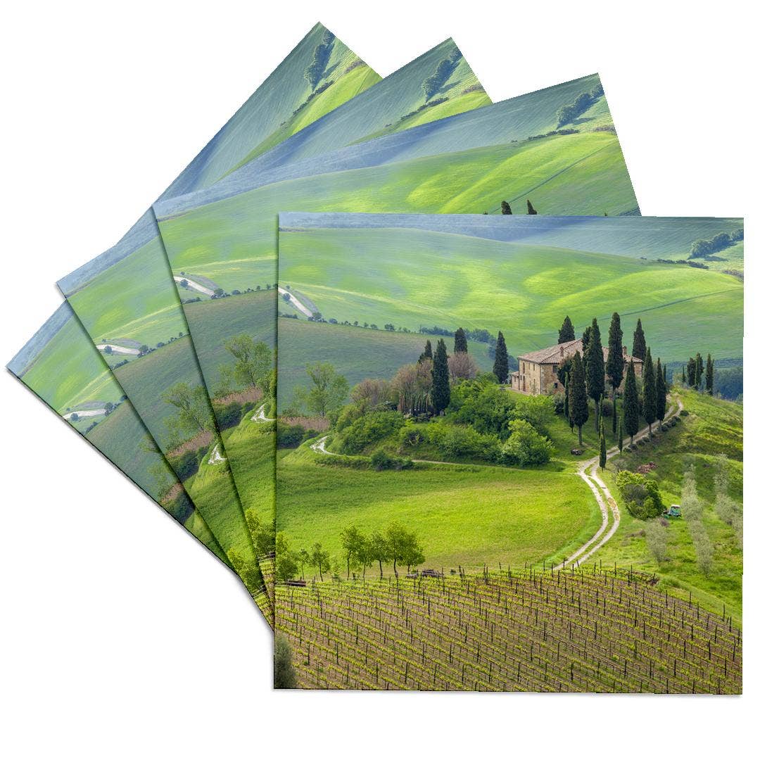3dRose - Wholesale Coasters - 3dRose, Italy, Val d Orcia. Il Belvedere farmhouse panoramic. , Coaster0