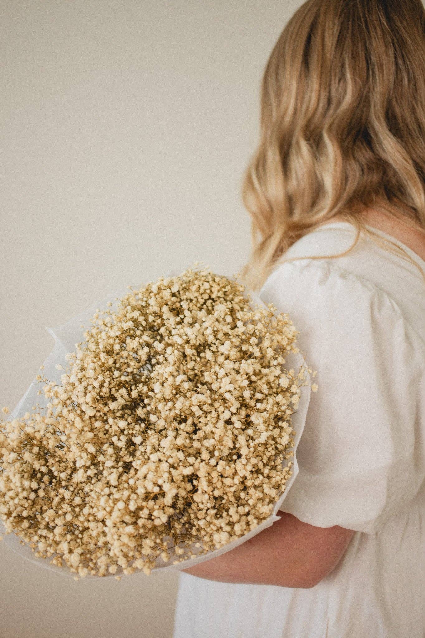 Eucalypt Co. - Wholesale Dried/pressed flowers - Preserved Babies Breath Bundles4