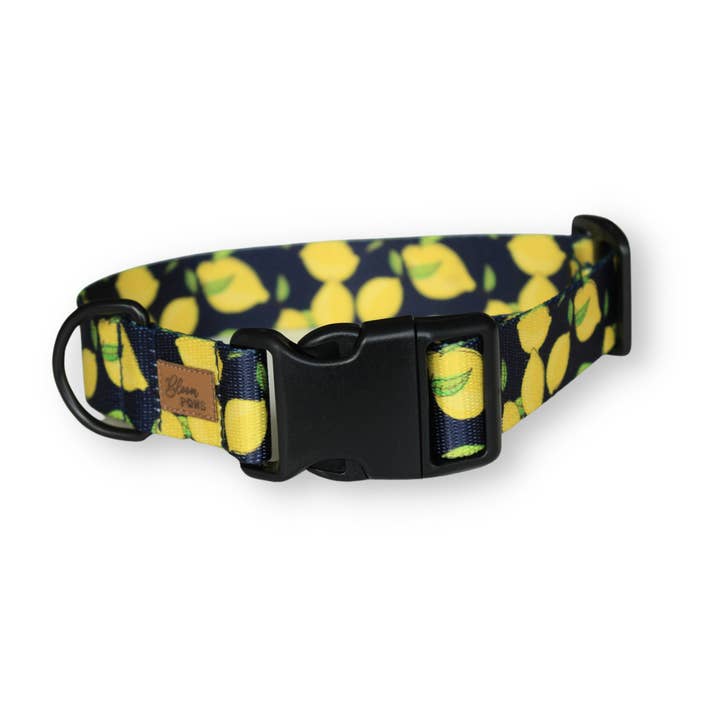 Collier pour chien en sangle imprimée citron avec boucle en plastique solide et fermeture latérale réglable pour la vente par Bloom Paws