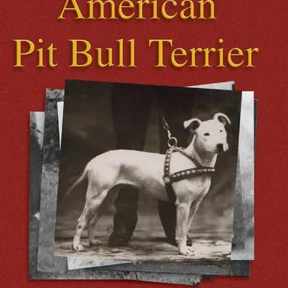 Books by splitShops - Wholesale Book - Adult - The American Pit Bull Terrier (History of Fighting Dogs Series) - Paperback