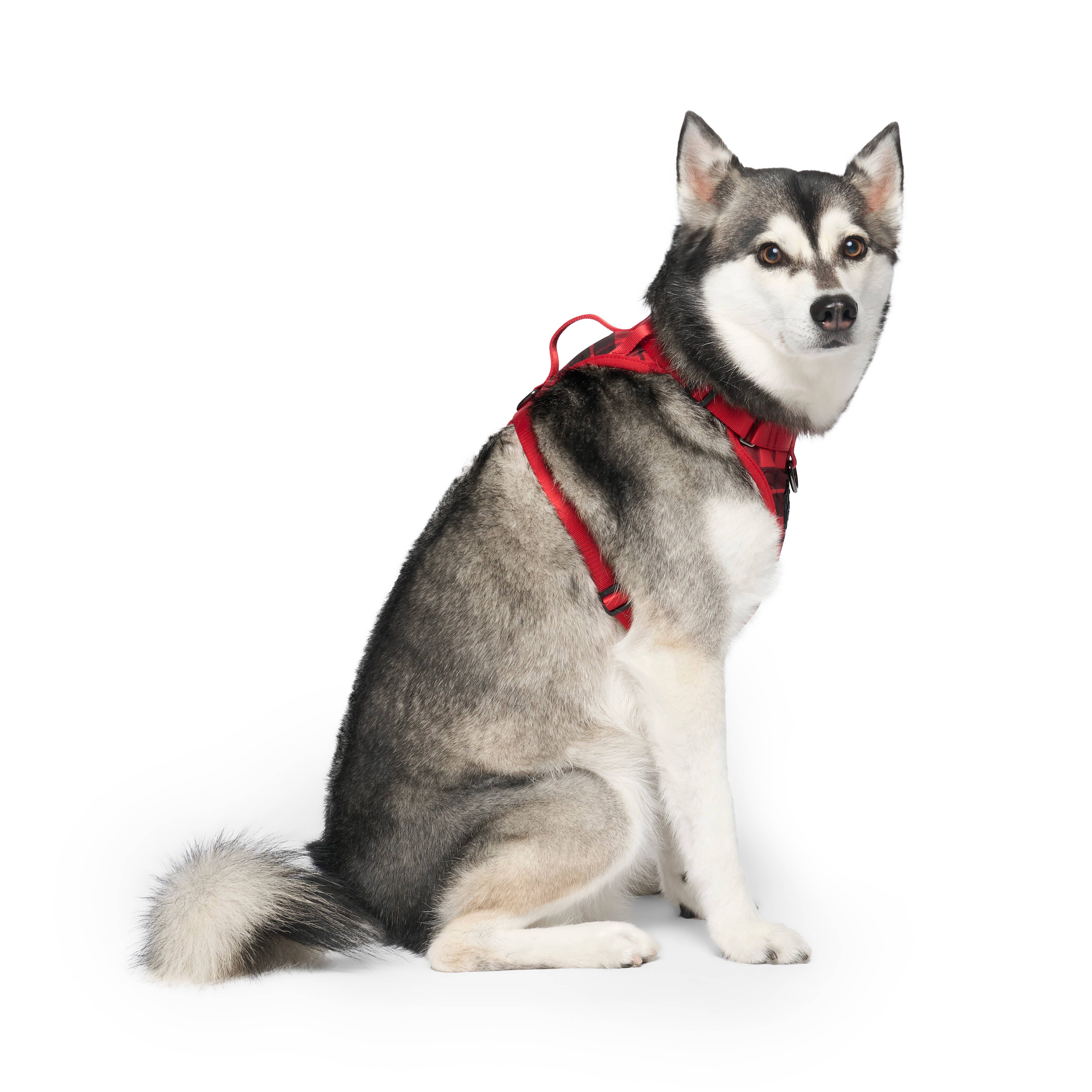 Canada Pooch - Wholesale Pet Harness - Dog - Everything Harness- No-Pull Dog Harness6