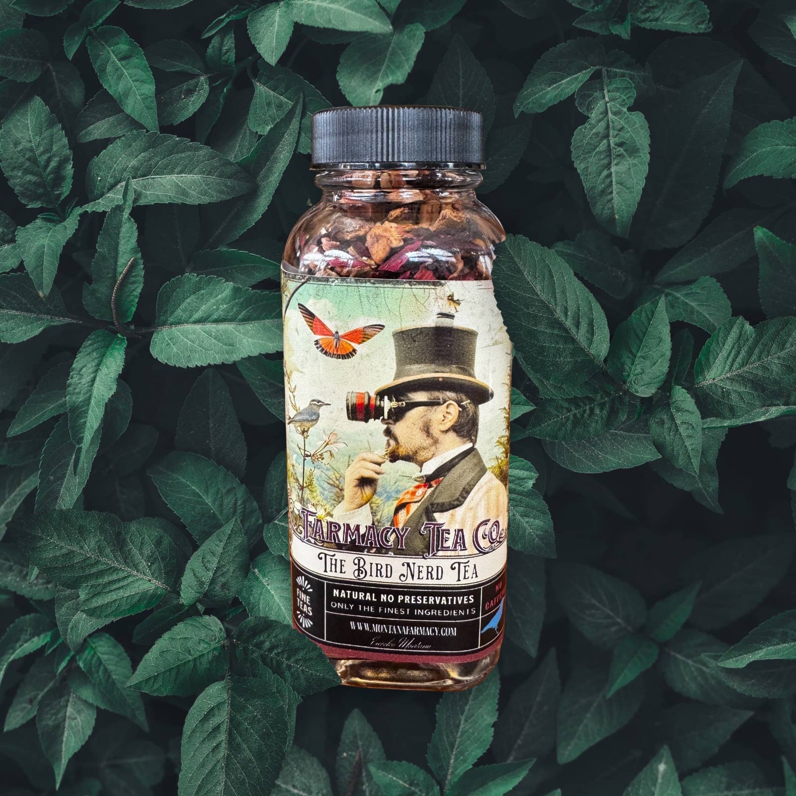 Montana Farmacy - Vendita all'ingrosso Tè sfusi - Nerd degli uccelli Birdwatching Tè All'aperto delizioso barattolo di vetro3