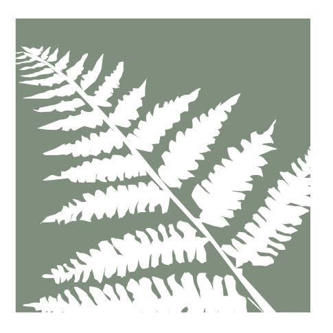Fern 1 for wholesale by RGB Fineart