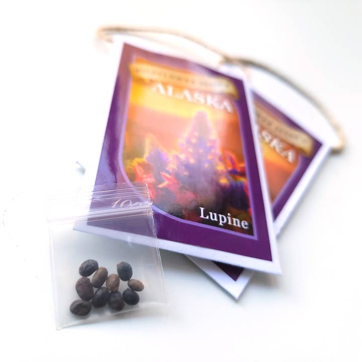 Whitworth Gallery - Wholesale Plant Seeds - Alaskan Lupin Wildflower Seed Packets1