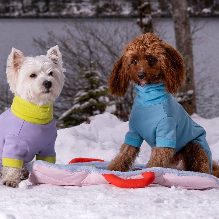 Thermal Dog Onesie Blue for wholesale on Faire5