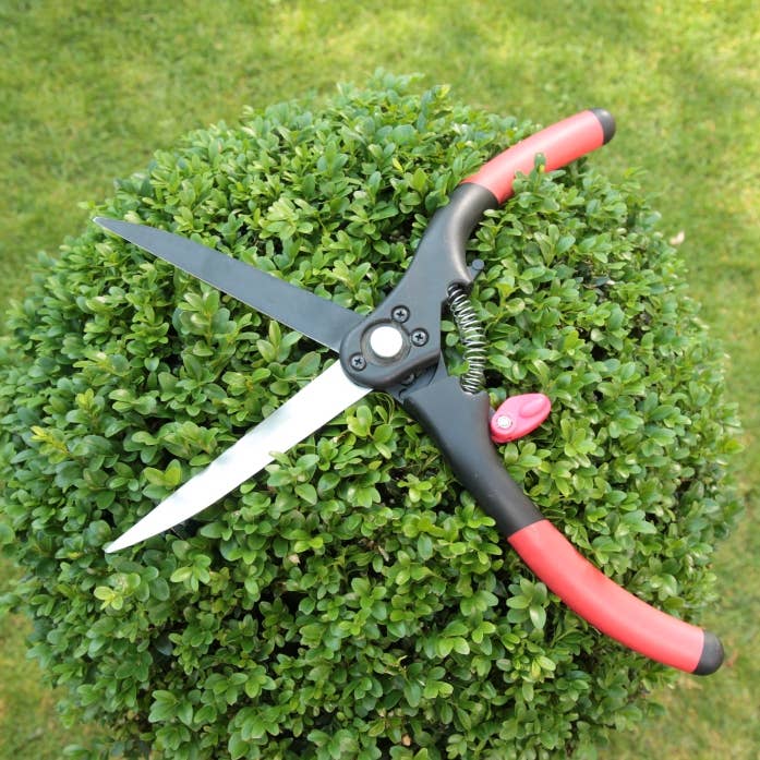 Schnittzeiten – Großhandel Gartenwerkzeug – Buchsbaumschere groß