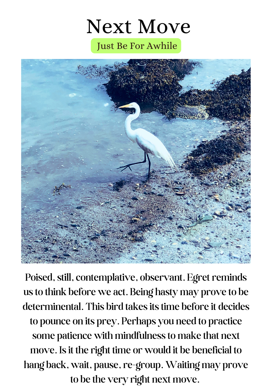 Maine Sea Witch - Wholesale Spiritual Stone/Crystal - Maine Sea Witch Oracle11