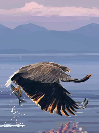 186C Sea Eagle / Periodic Society / Greeting Card for wholesale by Periodic Society