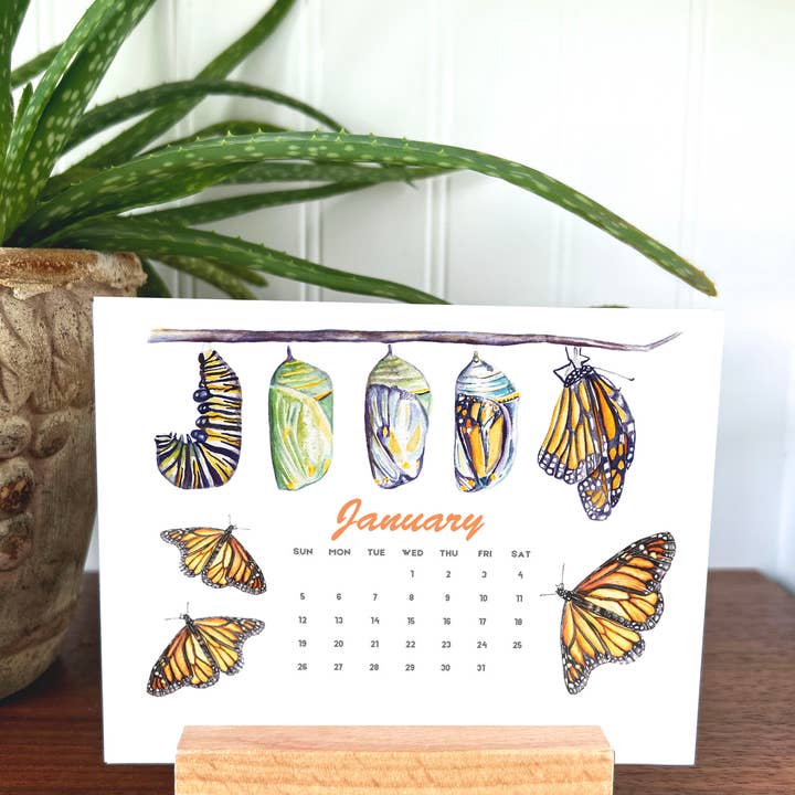 2025 Monarch Butterfly desktop calendar 5.5 by 4.25" for wholesale by Art Reflects Light