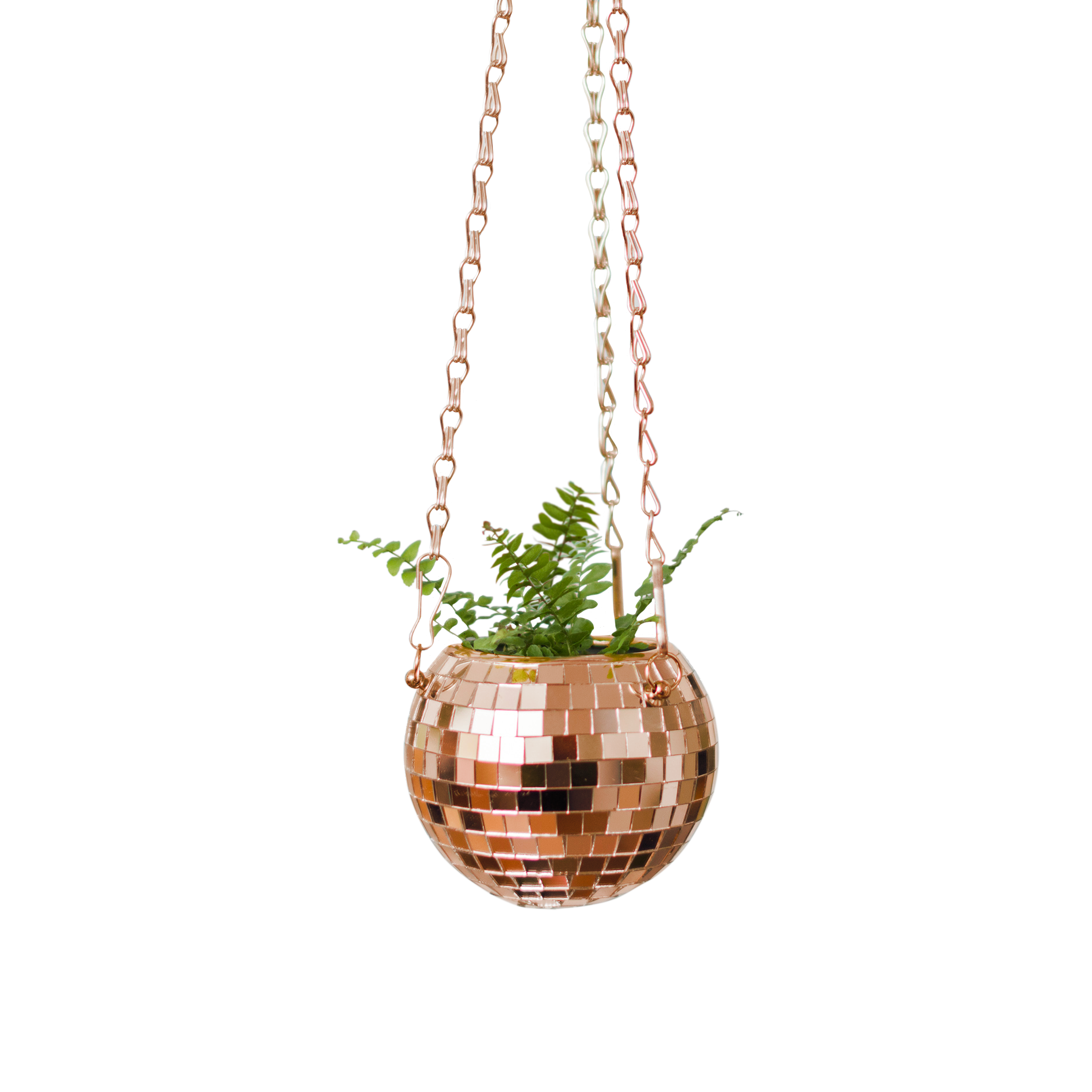Bubblegum Stuff UK – Engroshandel Hængende plantekasse – Diskokugle Hængeplante Rose Guld 4-tommer | Gaveartikler4