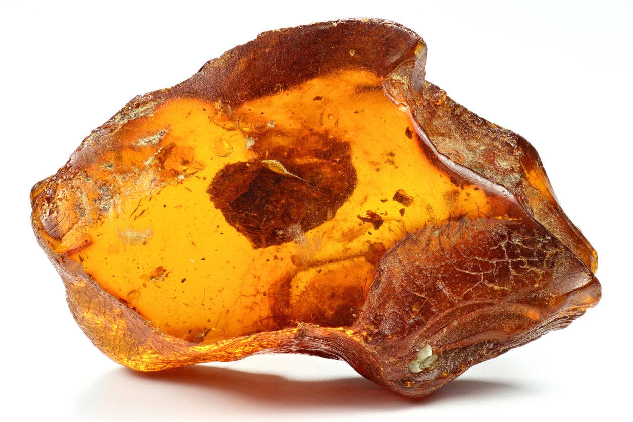 Voyage à Rodrigues - Vente Parfum/Eau de toilette - PARFUM - CORAIL3