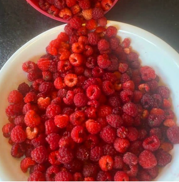 Josephine's Feast - Wholesale Preserves - AA Best Seller - Four Berry Preserves4