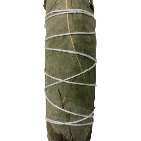 Oily Blends - Wholesale Sage Bundle - Sage Smudge Bundles Eucalyptus1