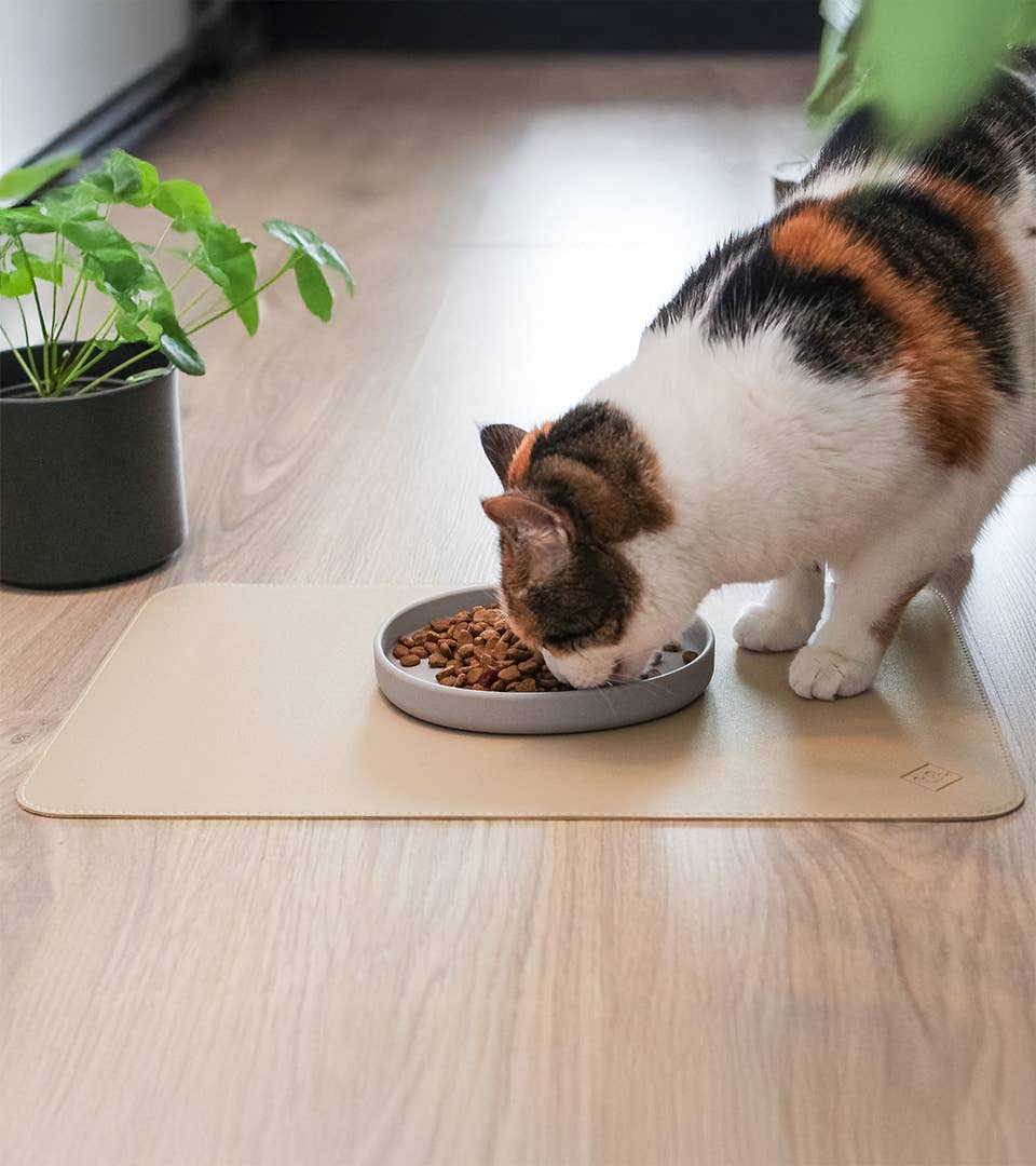 ne&no - Wholesale Pet Food Mat - Dog - ne&no® feeding mat made of vegan leather - dog & cat2