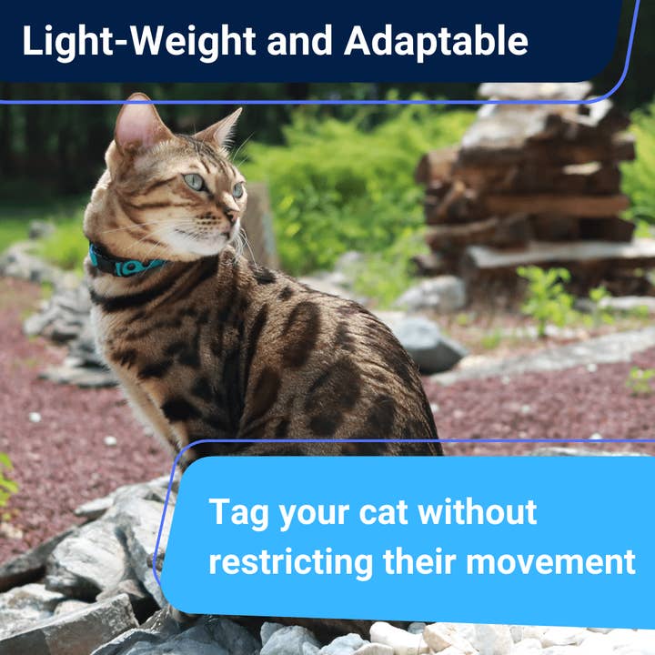 Outdoor Bengal - Wholesale Pet Collar - Cat - Durable Break-Away Cat Collar11