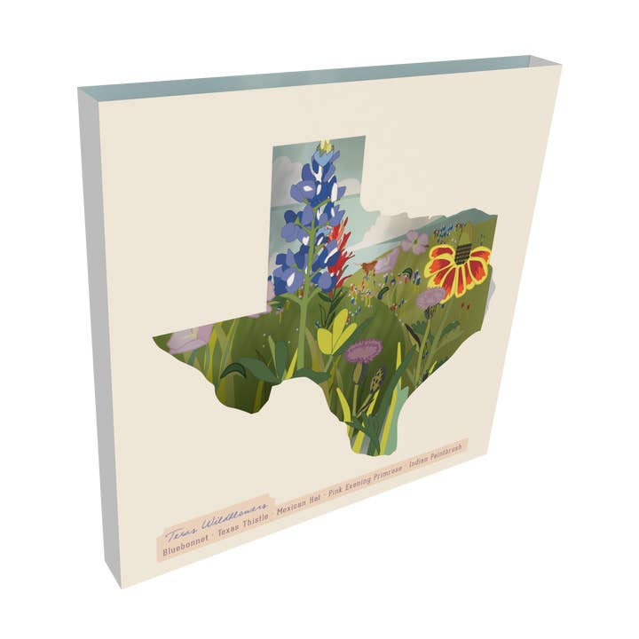 Carte Pop-Up 3D Fleurs Sauvages du Texas EASY POP pour la vente par Make A Scene