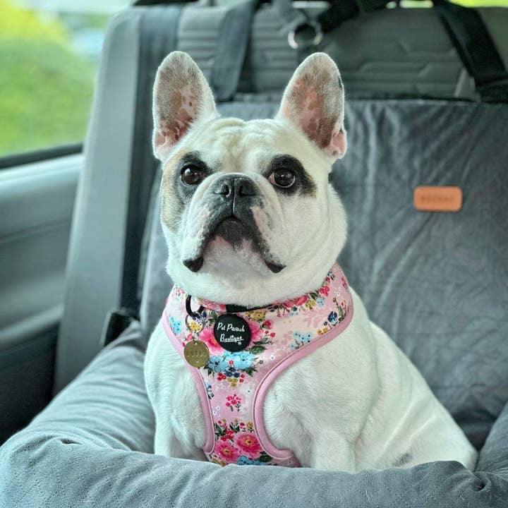 Pet Pooch Boutique – Engroshandel Halsbånd - Hund – Cottage Floral Hundekrave/Valgfrit blomstertilbehør (lyserød)2