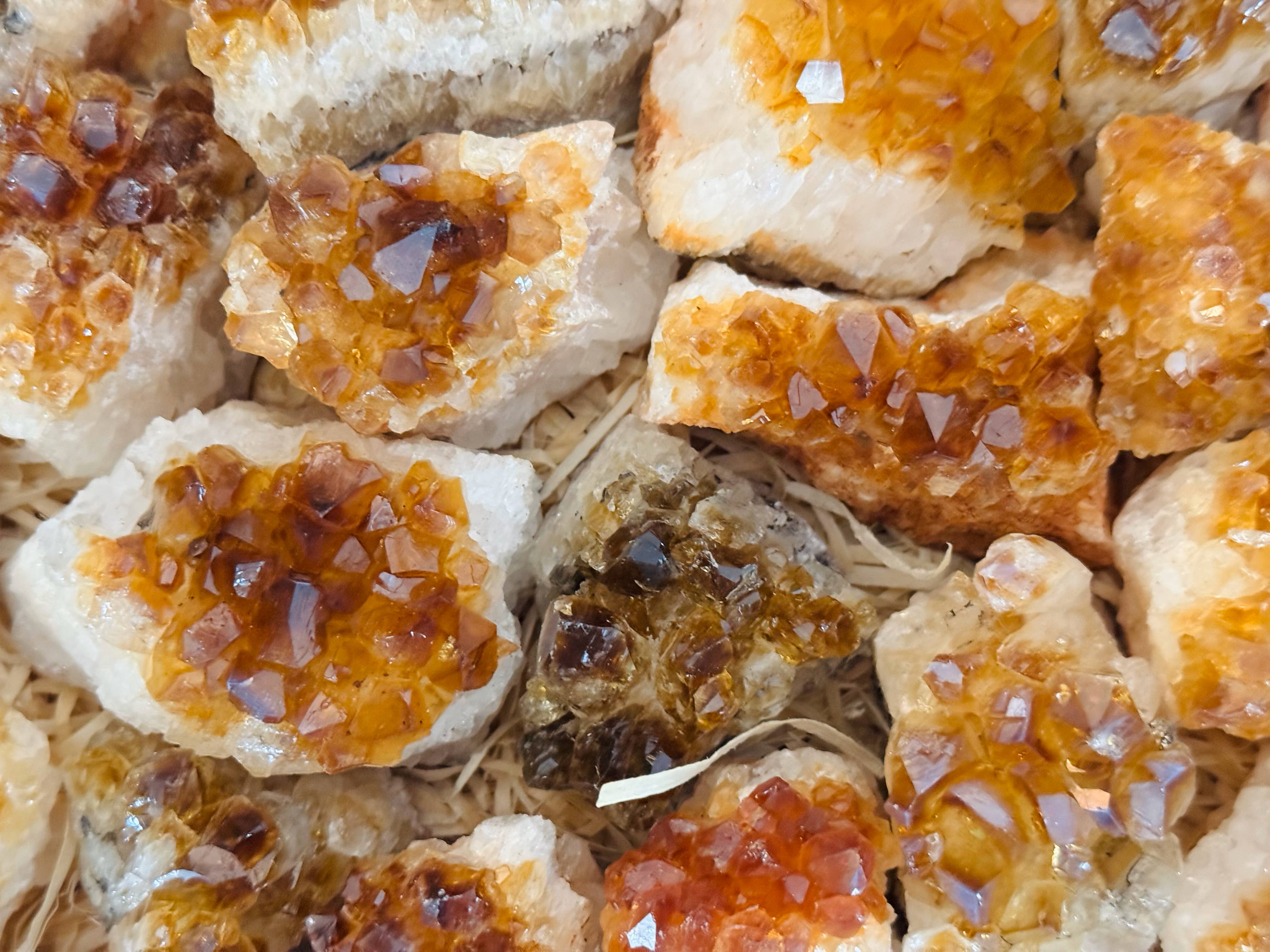 Yellow Tree Company - Wholesale Spiritual Stone/Crystal - Citrine Cluster Flat – 18-20 Pieces  Raw Citrine Crystals1