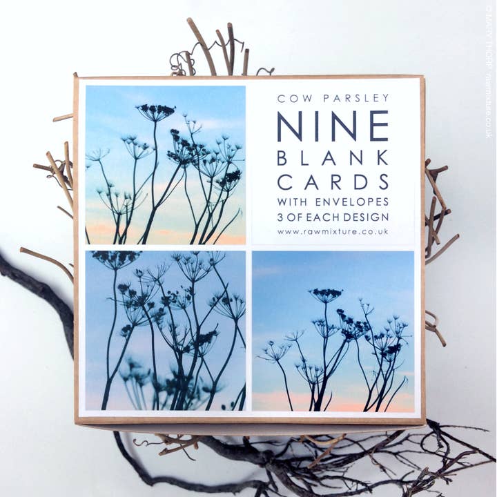 Box of 9 small note cards - COW PARSLEY COLLECTION for wholesale by Raw Mixture