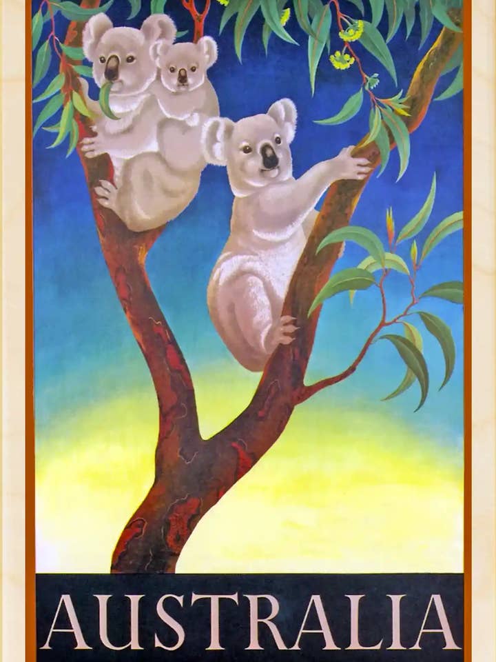 Australie - Souvenirs écologiques pour la vente par THE WOODEN POSTCARD COMPANY