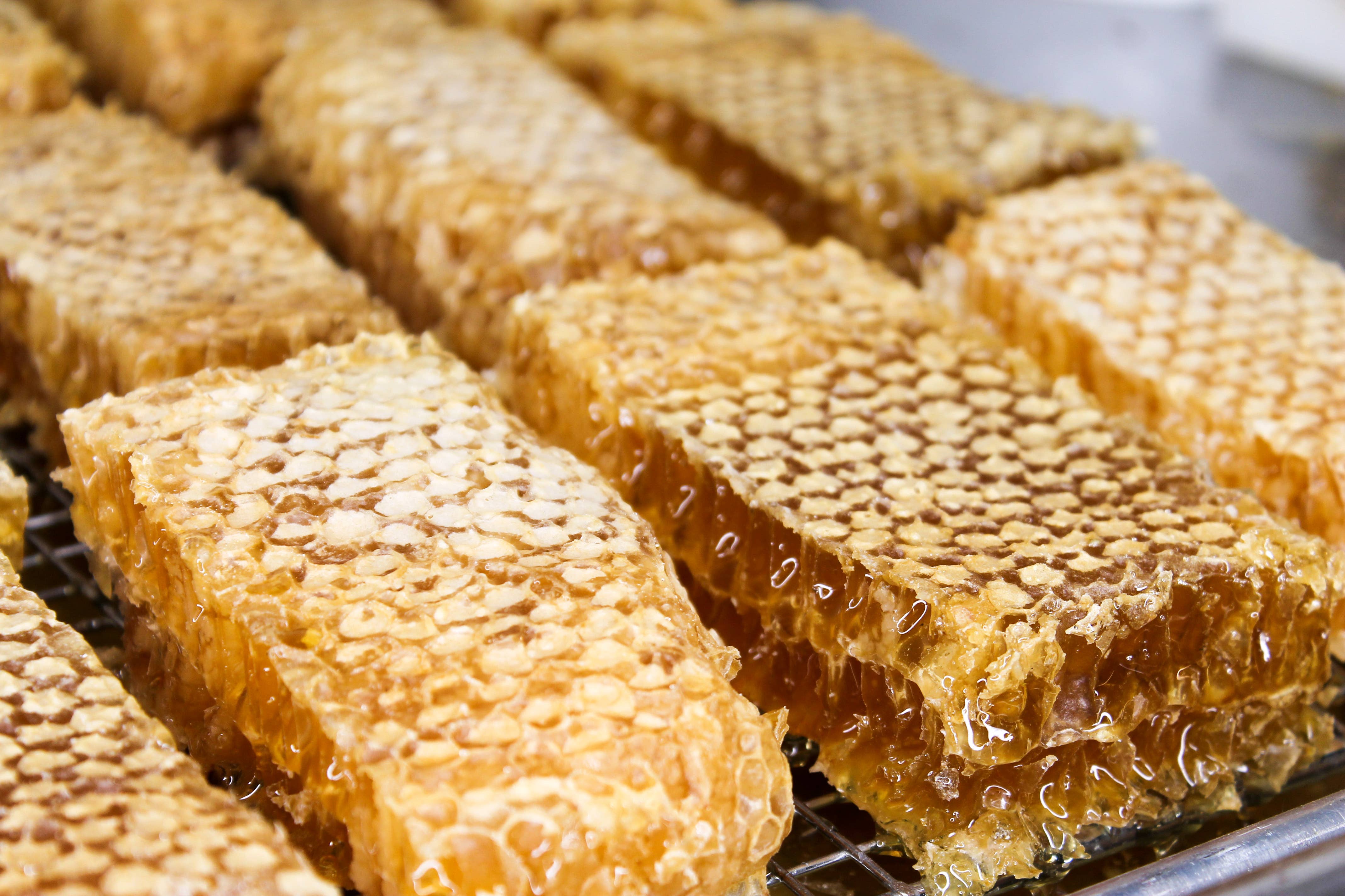 Moon Shine Trading Co. – Engroshandel Honning – Vildblomst honning i bikage4