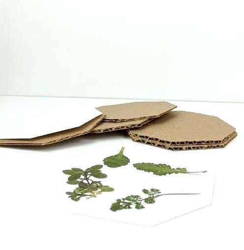 Macon Makes - Wholesale DIY Craft Kit - Mini Hardwood Flower Press | 4"x4"3