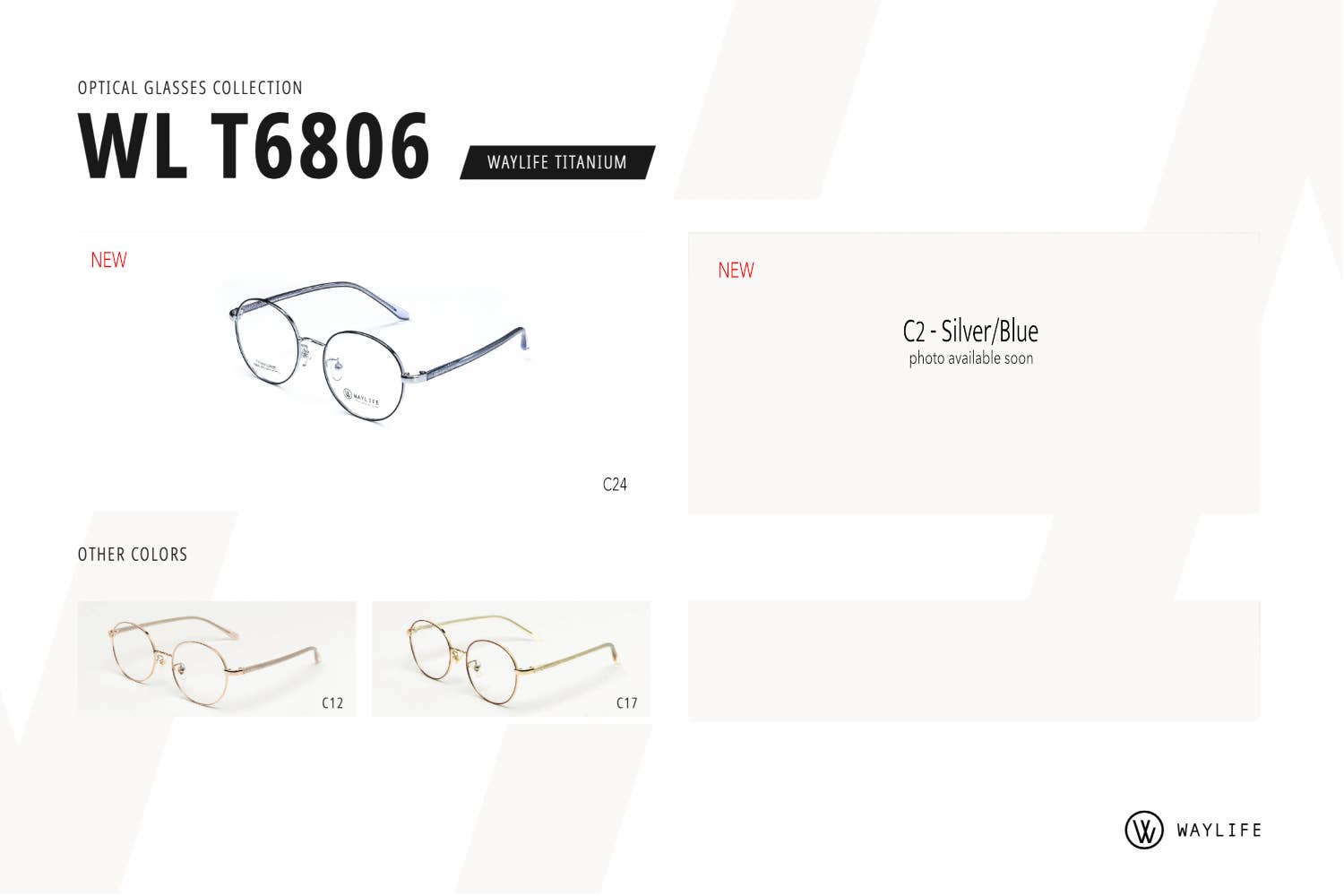 WAYLIFE - Wholesale Eyeglasses - Unisex - Unisex Optical Eyewear Glasses Frame WL T6806 - Titanium0