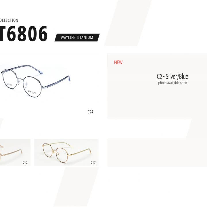 WAYLIFE - Wholesale Eyeglasses - Unisex - Unisex Optical Eyewear Glasses Frame WL T6806 - Titanium